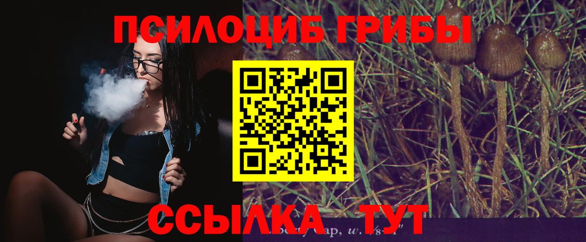 Псилоцибиновые грибы Psilocybe  Вход с VPN  Галлюциногенные грибы MAGIC MUSHROOMS  Красноуфимск 